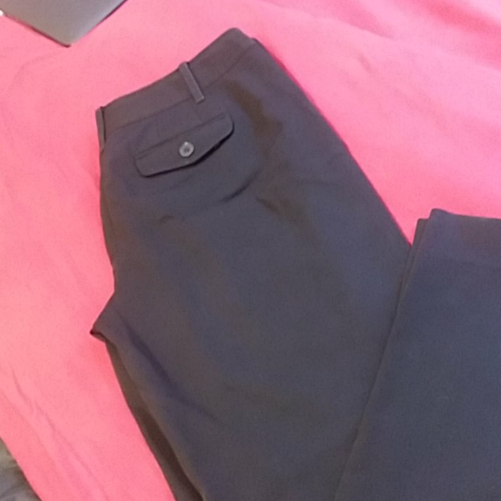 Dress pants